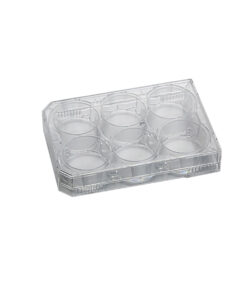 Platničky predpripravené na kultiváciu buniek, 6 miestne, sterilné, individuálne balené, 50x1 ks