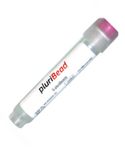 Anti TCRAB S-pluriBead® anti-rat